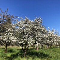 Kepotopia - Die grüne Eventlocation 11