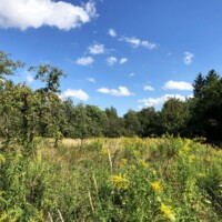 Kepotopia - Die grüne Eventlocation 17