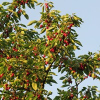 Kepotopia - Die grüne Eventlocation 16