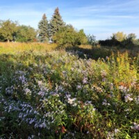 Kepotopia - Die grüne Eventlocation 20