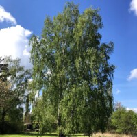 Kepotopia - Die grüne Eventlocation 22