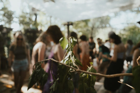 3633395045
