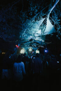 3656853766